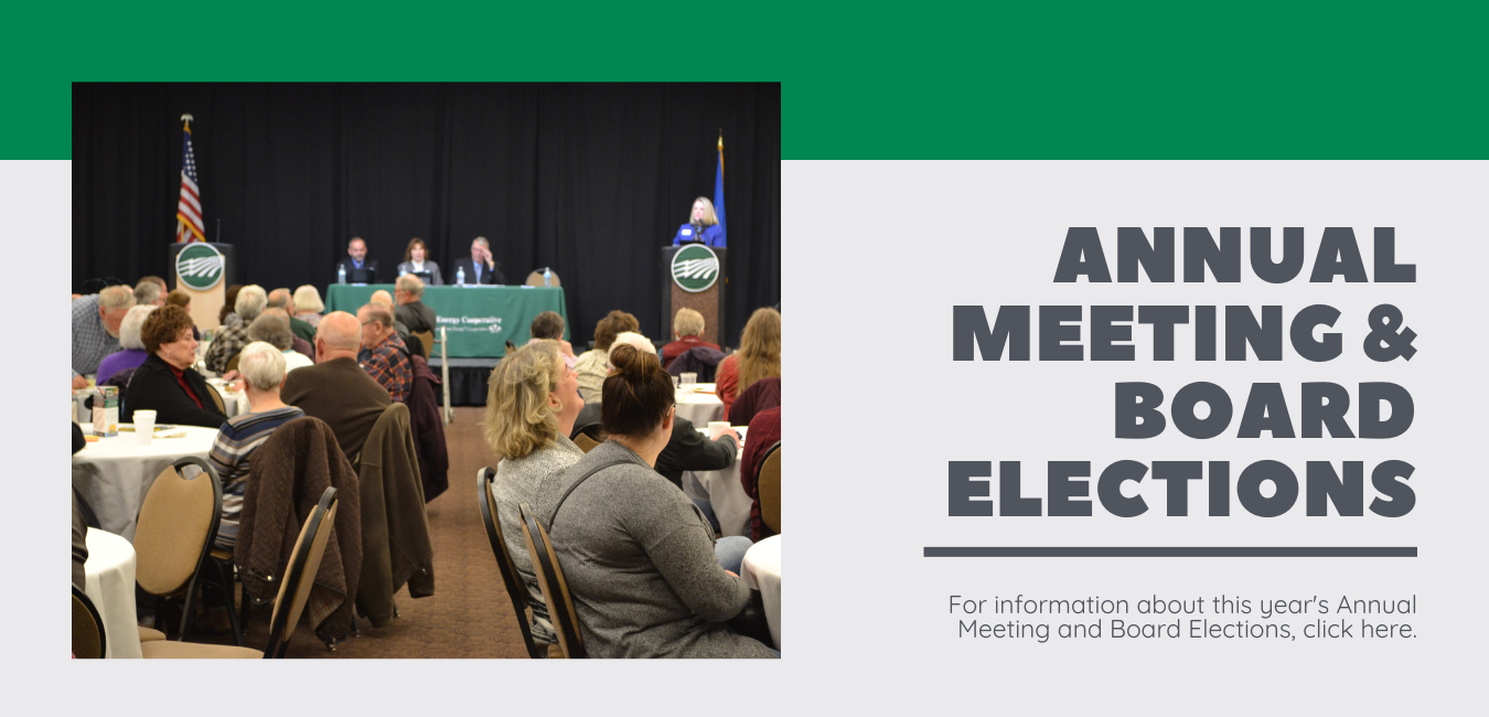 Annual Meeting & Board Elections