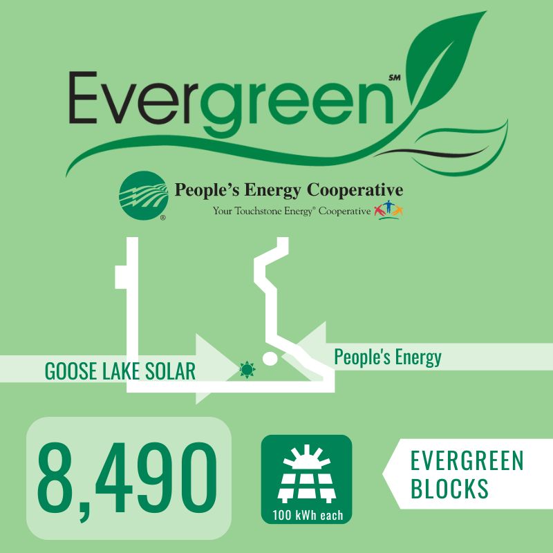 8,490 Blocks from Goose Lake Solar
