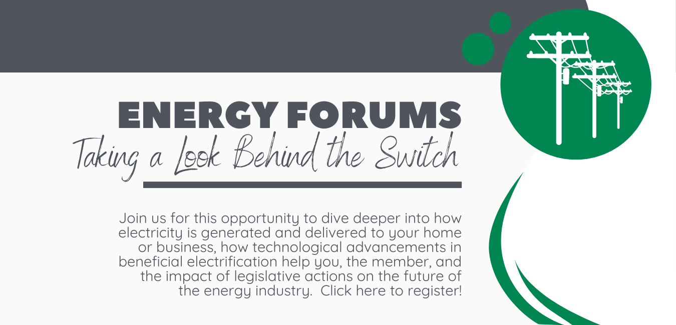 Energy Forums - Taking a Look Behind the Switch
