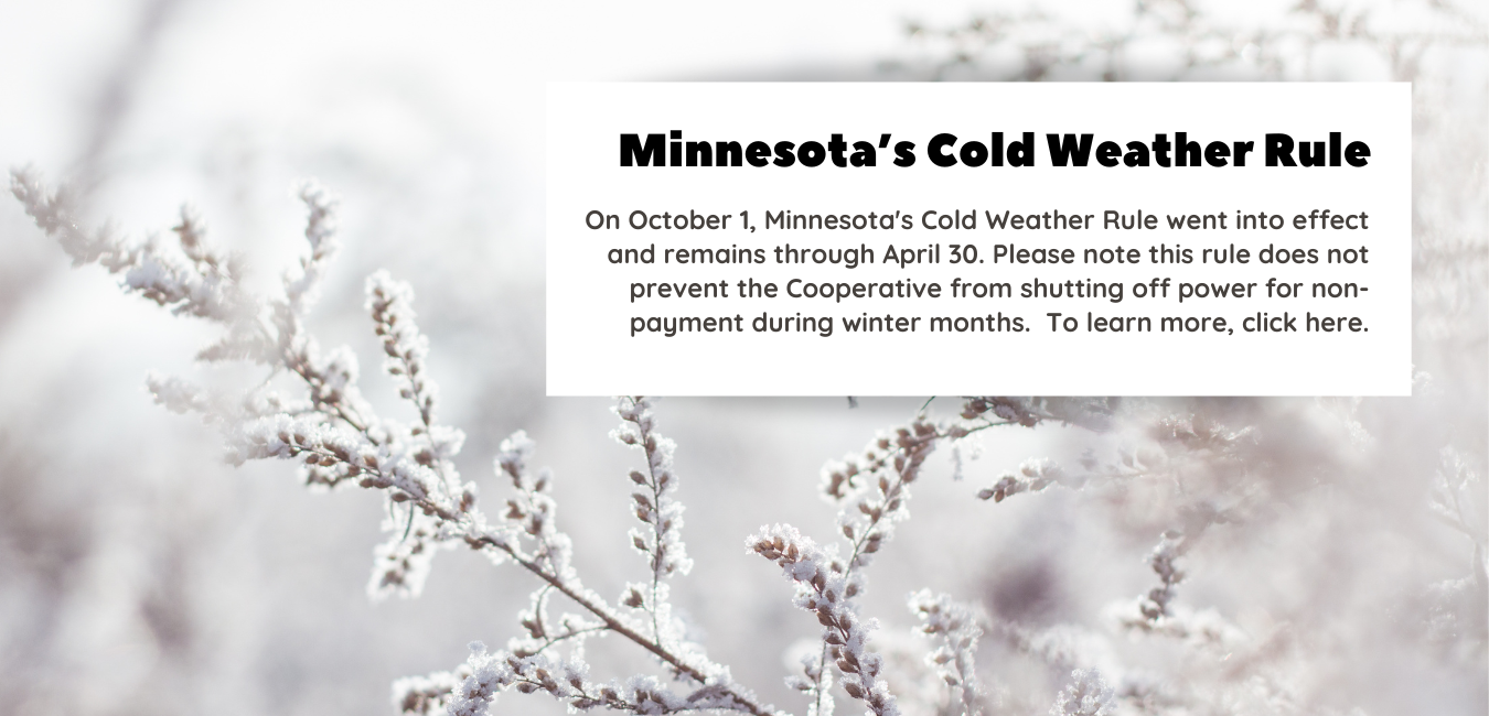 Minnesota's Cold Weather Rule