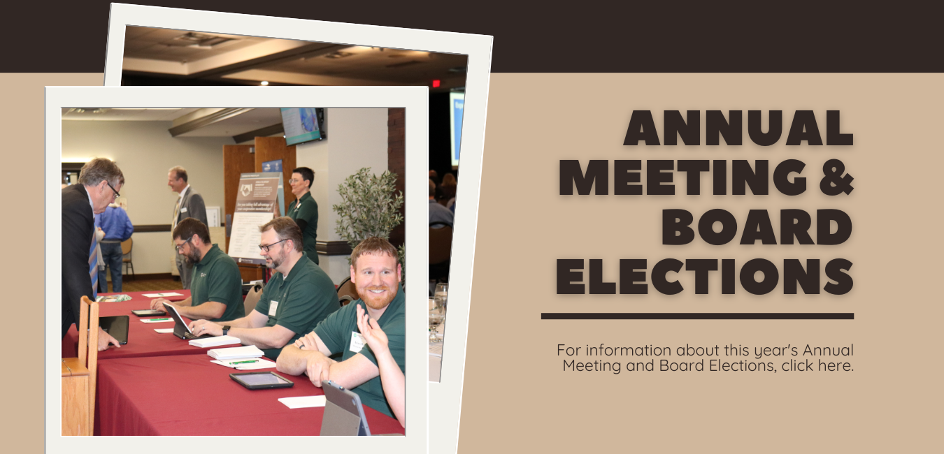 Annual Meeting and Board Elections