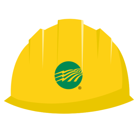 Hard Hat