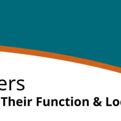 Data Centers: Understanding Their Function and Local Impact